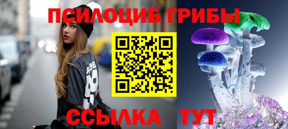 Галлюциногенные грибы GOLDEN TEACHER Надым
