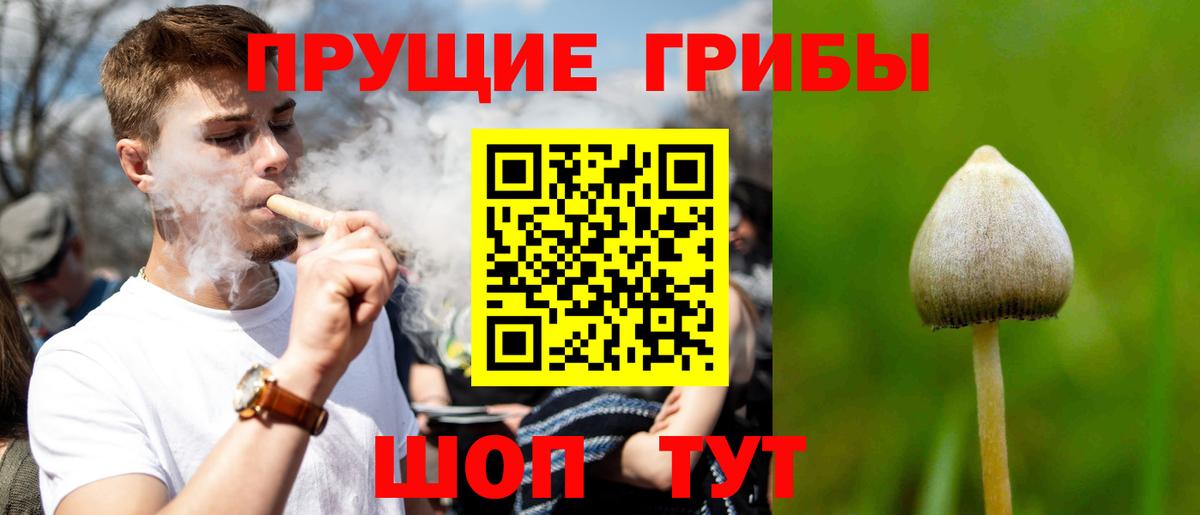 Надым  Галлюциногенные грибы мухоморы  Вход с VPN 